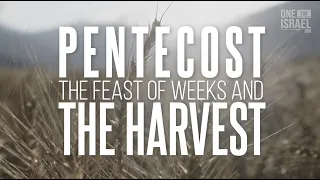 Pentecost special! - The Harvest of the Feast of Weeks - Pod for Israel