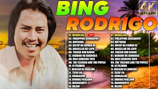 BING RODRIGO Love Songs - Opm Love Songs - Gintong Araw,Sinayang Mo,...#lumangtugtugin #viral