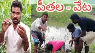 Village crabs hunting || my village culture