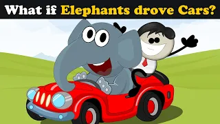 What if Elephants drove Cars? + more videos | #aumsum #kids #children #education #whatif