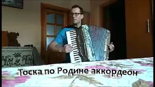 Tęsknota za ojczyzną / Тоска по Родине / Marsz weselny akordeon acordeon аккордеон