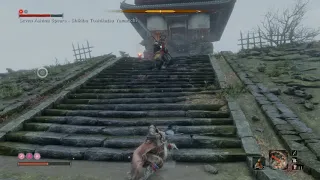 Sekiro Bullshit