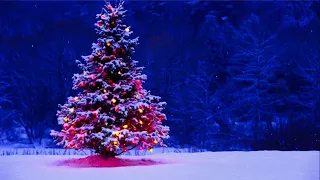 🎄 Beautiful Snow Falling Christmas Scene Animation ~ Makes Great Background with Snow sound