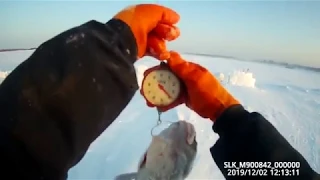 Проверка крючков на налима 02 12 2019