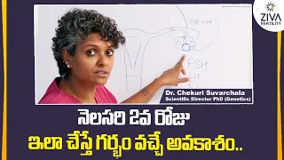 నెలసరి 2వ రోజు ఇలా చేస్తే || How To Get Pregnant Fast in Telugu || Dr C Suvarchala || Ziva Fertility