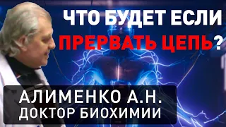 Электричество Внутри Нас (А.Н. Алименко)