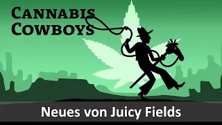 Neues von Juicy Fields - Cannabis Cowboys und Store