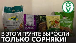 БОЛЬШЕ НИКОГДА НЕ КУПЛЮ ЭТОТ ГРУНТ ДЛЯ РАССАДЫ! Контрольная закупка грунтов для рассады