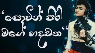 "සොවින් පිරි මගේ හදවත"|Sovin piri mage hadawatha|cover|violin|Dulmina Sharanya|