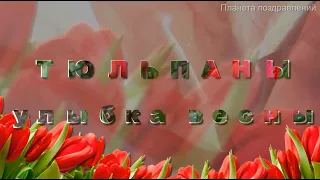 Тюльпаны улыбка весны, муз. В. Шаинский - сл. М. Геттуев