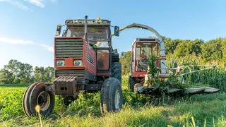 OLD SCHOOL CORN SILAGE 🇮🇹 | Hesston 7650 & Fiatagri 180-90 Pushing Silage