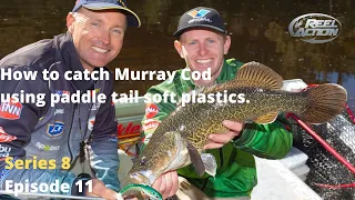 How to catch Murray Cod using paddle tail soft plastics.