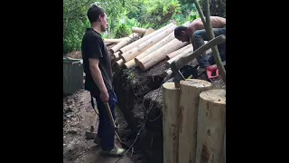 Этапы работ по укреплению берега лиственницей