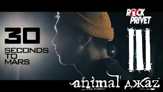 Animal Джаz / 30 Seconds To Mars - Три Полоски (Cover by ROCK PRIVET)