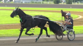 2017 Hambletonian Contenders - Sortie