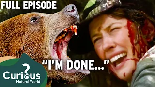 Raging Grizzly Bear KILLS TWO People TRUE Story Told | Full Episode | Curious?: Natural World