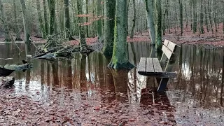 Overstroming Leuvenumse beek (Veluwe)