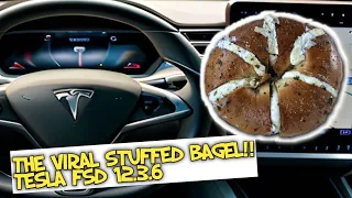Trying the Viral Stuffed Bagels From Doughlicious!  Tesla Model X FSD Mukbang!