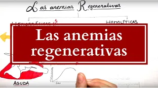 Las Anemias : Anemias Regenerativas (Parte 1)