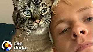 Clingy Cat Has To Be With Dad 24/7 | The Dodo Soulmates