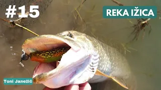 ZIMSKI RIBOLOV ŠČUKE & REKA IŽICA #15 (winter pike fishing & Ižica Slovenia)