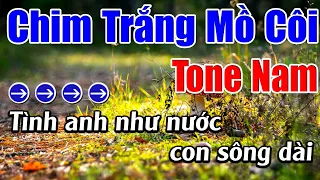Chim Trắng Mồ Côi Karaoke Tone Nam Karaoke Lâm Beat - Beat Mới