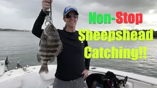 Turning Sheepshead Fishing into Sheepshead Catching!