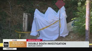 Westlake double death investigation