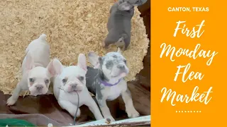 PUPPIES EVERYWHERE! Are we gonna get one? First Monday Trade Days, Canton, Texas, April 30, 2023