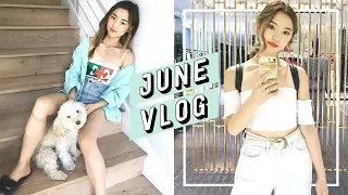 A Change + Tokyo Trip | June Vlog