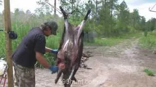 How to Clean a Hog