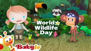 We love animals! 💚 Celebrate World Wildlife Day with BabyTV  🐻 🦁 🐵    @BabyTV