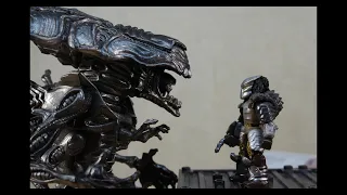 Predator Meets The Queen  ( Mega Construx Stop Motion )