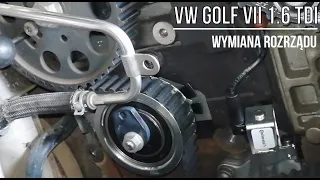 VW Golf VII 1.6 TDI  - wymiana rozrządu / timing replacement