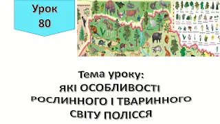 Урок 80.   ЯКІ ОСОБЛИВОСТІ РОСЛИННОГО І ТВАРИННОГО СВІТУ ПОЛІССЯ? Я досліджую світ 4 клас.