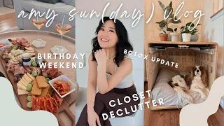 AMY SUN(DAY) VLOG: my 30th birthday weekend, closet clean out, botox update