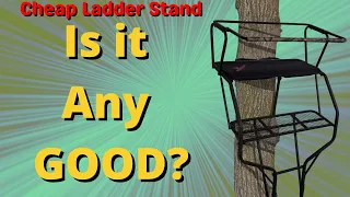 Affordable 2 person Ladder Stand for Hunting