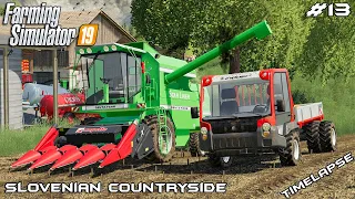 Harvesting corn & wheat w/Deutz-Fahr | Slovenian Countryside | Farming Simulator 2019 | Episode 13