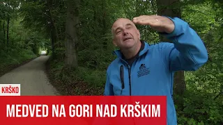 KRŠKO: Medved na Gori, Dunaju in v Leskovcu pri Krškem