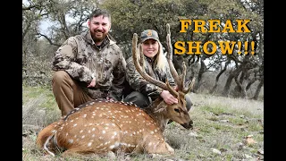 Texas Hill Country 2021 Axis Deer Hunt - FREAK SHOW AXIS