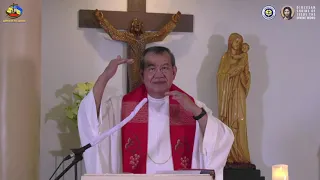 Symptoms of the Holy Spirit --  Homily By Fr Jerry Orbos SVD - May 23 2021 Pentecost Sunday