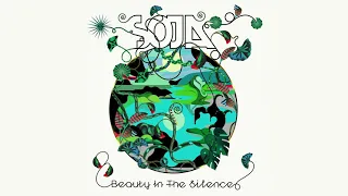 SOJA – This Heart of Mine (Feat. Eric Swanson)