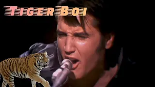 Elvis - Tiger Man but his '68 Comeback Special is extra special