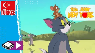 TOM VE JERRY NEW YORK'TA | Aynı Takım | Boomerang TV Türkiye