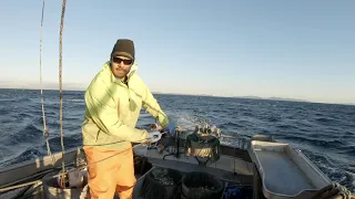 Making Setting Gear Look Easy! - Alaska Halibut Longlining