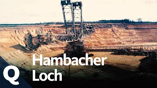 Die Geschichte und Zukunft des Hambacher Lochs und Hambacher Forsts | Quarks