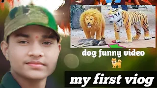 Best Prank Collection Top 15 - Fake Lion Prank Real Dog Super Funny - Try Not To Laugh Challenge
