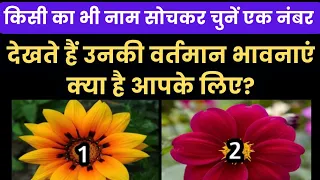 🥀चुनिए एक फूल और जाने वो आपके बारे में क्या सोच रहे हैं? Unka Next Action Aapke Liye Tarot