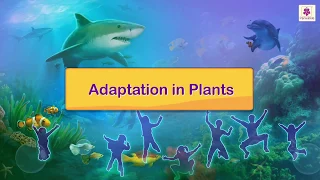 Adaptation In Plants | Science For Kids | Periwinkle