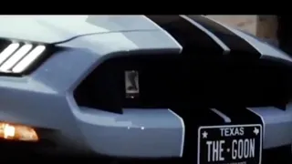 Mustang lovers WhatsApp status